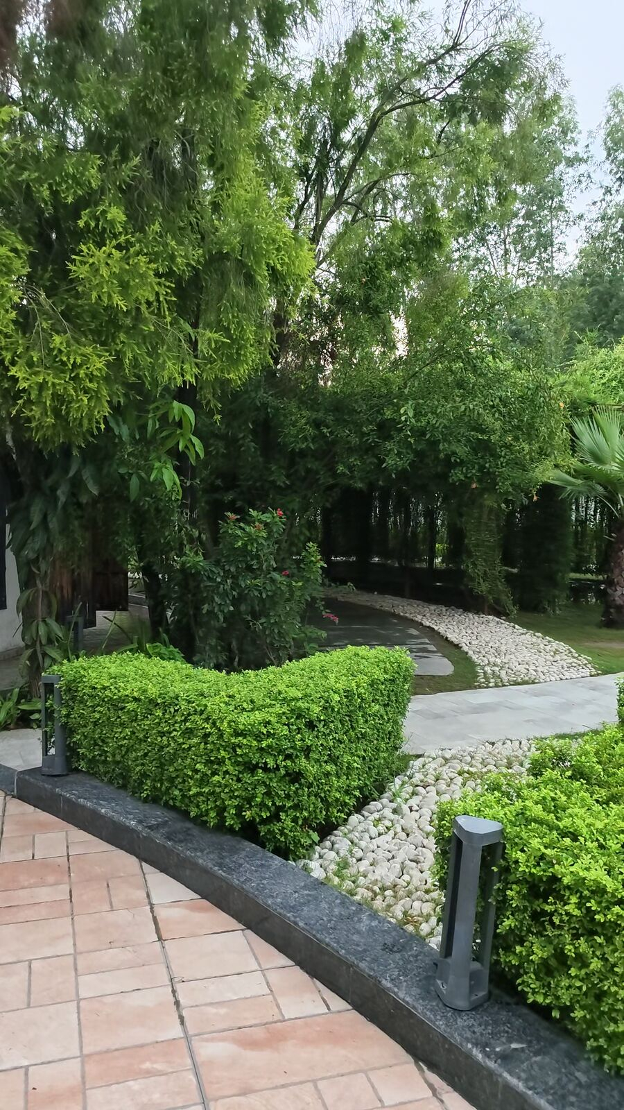 Curved pebble-lined garden pathway through dense tropical greenery